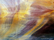 Camaïeu de jaune et violet